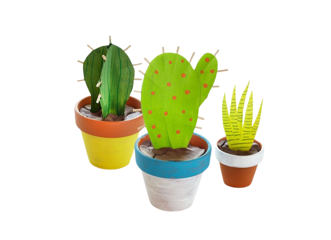 Passover Pals: Pots & Plants
